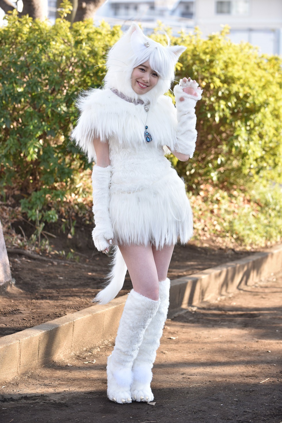 「トラさん～僕が猫になったワケ～」より、飯豊まりえ扮する白猫・ホワイテスト。