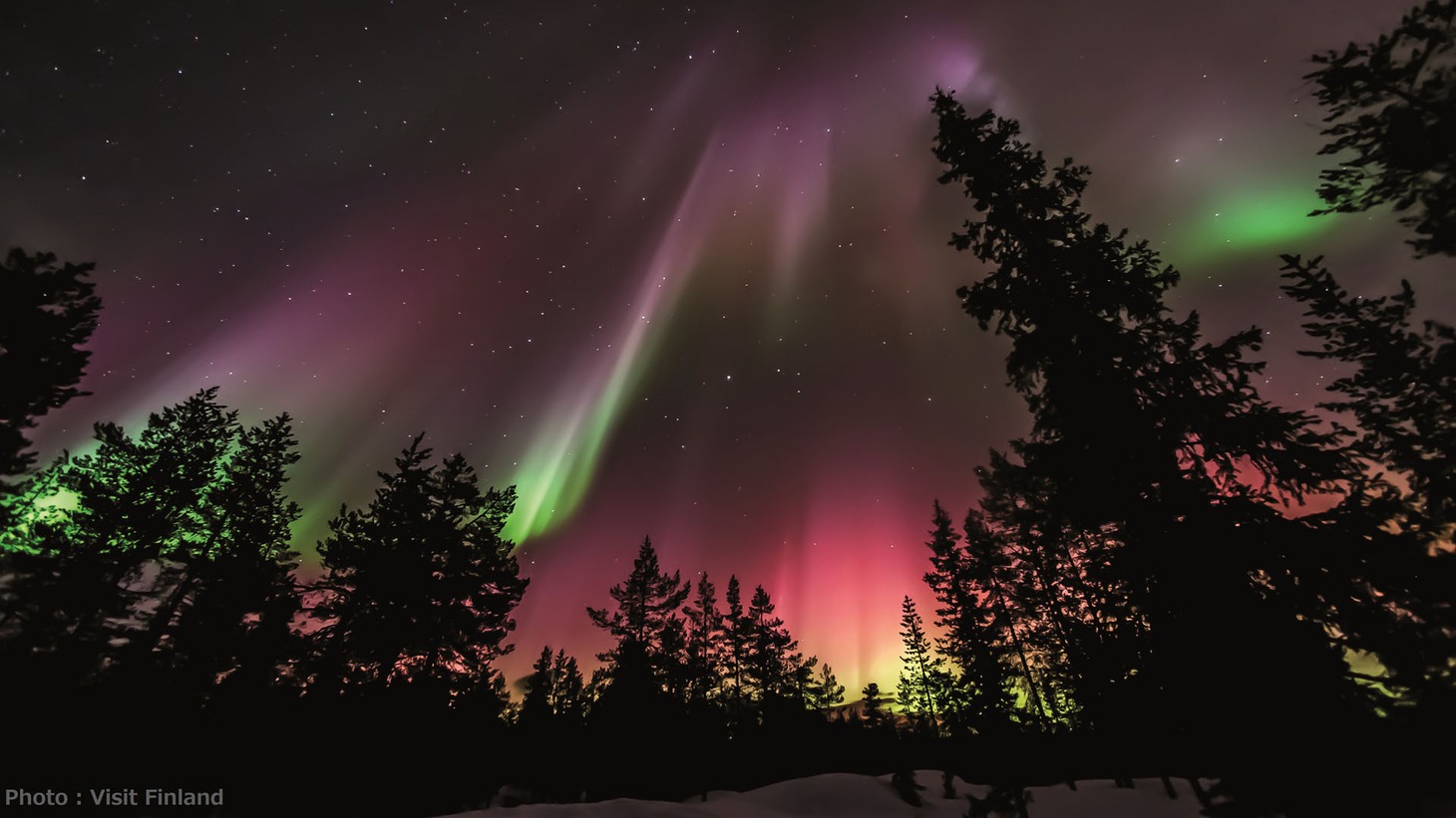 「雪の華」より、オーロラ。（写真提供：Visit Finland）
