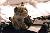 グロ・ホテル・アートの客室で、利用客を迎えるぬいぐるみ。