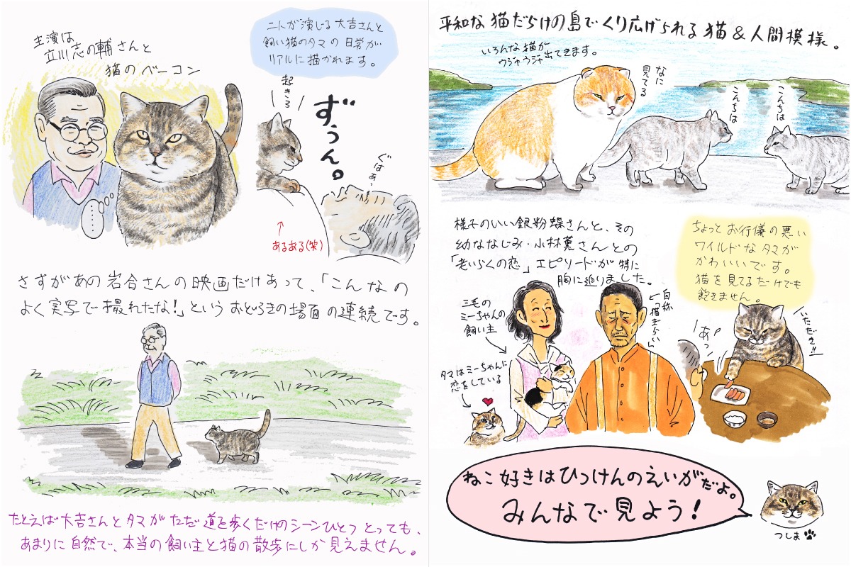 おぷうのきょうだいによる描き下ろしイラスト。