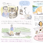 猫いっぱい!「ねことじいちゃん」猫好き9名がイラスト描き下ろし