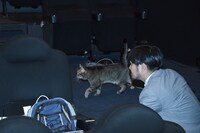 フォトセッション前に、客席通路を歩いて登場したベーコン。