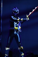 リュウソウブラック