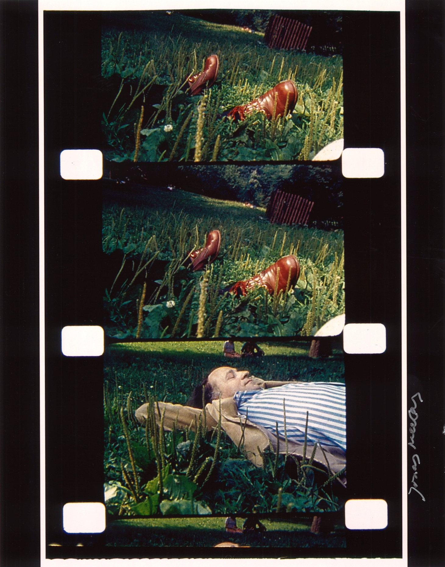 展示会「Frozen Film Frames」より。