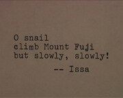 「Sleepless Nights Stories」