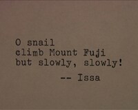 「Sleepless Nights Stories」