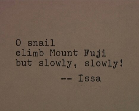 「Sleepless Nights Stories」