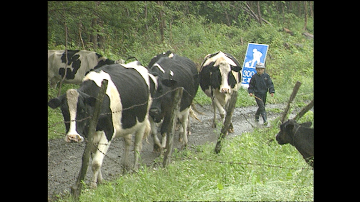 「山懐に抱かれて」