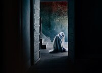 「マローボーン家の掟」