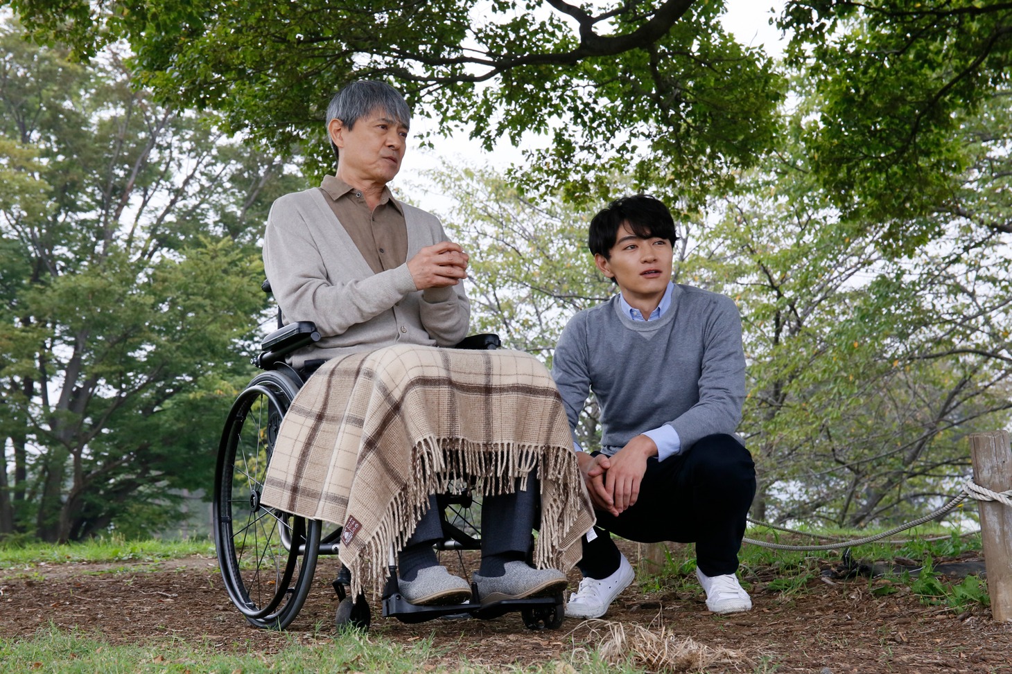 「ピア～まちをつなぐもの～」