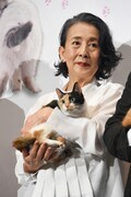 銀粉蝶と小梅。
