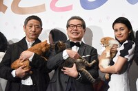 「ねことじいちゃん」初日舞台挨拶の様子。左から小林薫とまろにー、立川志の輔とベーコン、柴咲コウとゆず。