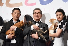 「ねことじいちゃん」初日舞台挨拶の様子。左から小林薫とまろにー、立川志の輔とベーコン、柴咲コウとゆず。