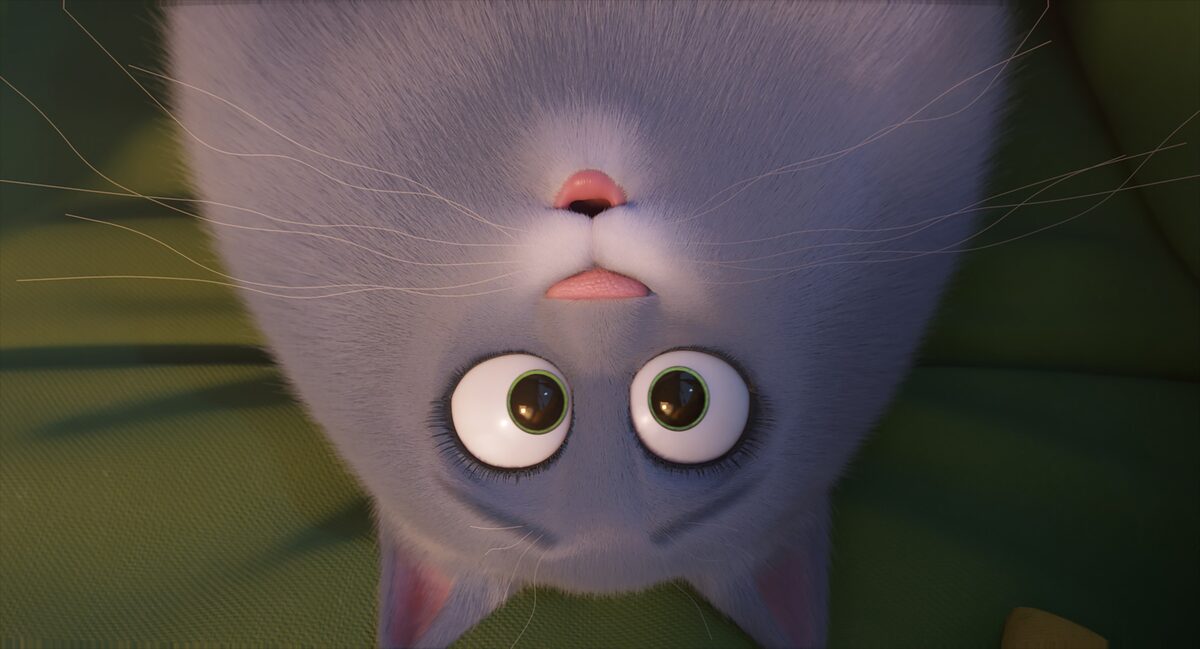 ペット2 画像 動画ギャラリー 8 12 映画ナタリー