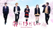 杉野遥亮、松尾太陽、甲斐翔真演じる“けだもの男子”再び!「花けだ」続編が配信