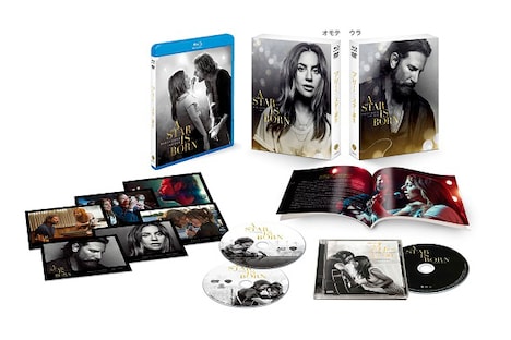 「アリー/ スター誕生」プレミアム・エディション展開図