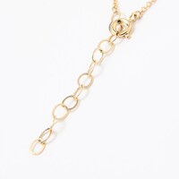 セイバーモデルのネックレス。