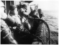 「海に生きる-遠洋底曳漁船の記録-」 (c)TOHO CO.,LTD.