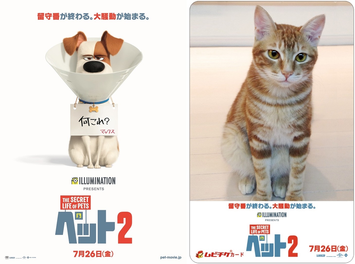 オリジナルムビチケカードのイメージ。