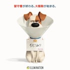 「ペット2」公開日が決定、おうちのペットがムビチケカードになるキャンペーンも