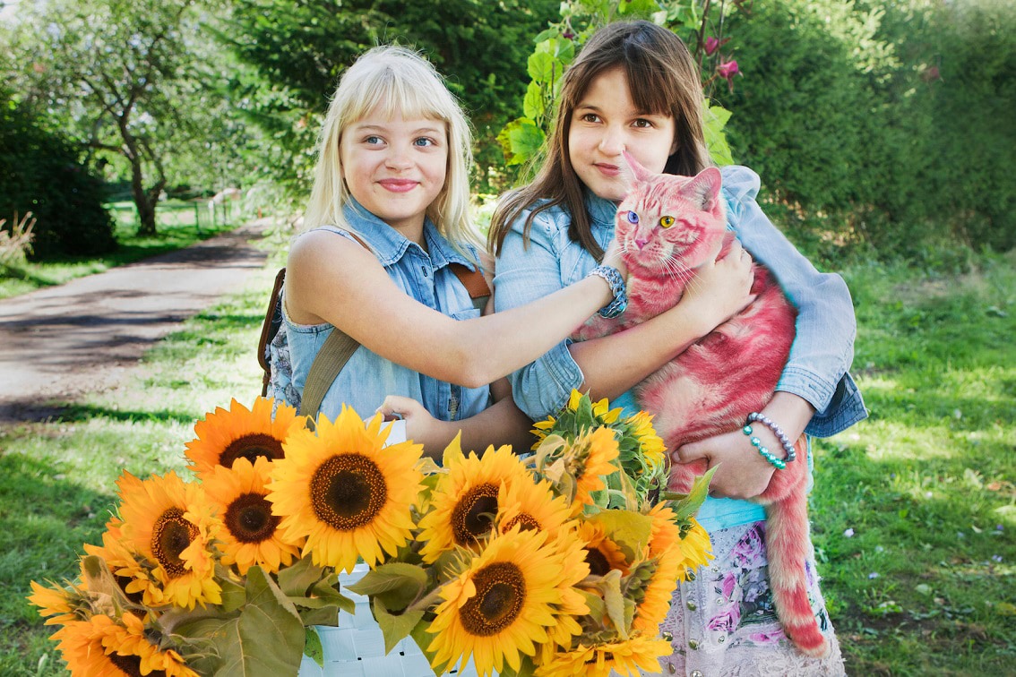 「オンネリとアンネリ」第3弾公開、少し成長した2人が秘密の作戦を決行