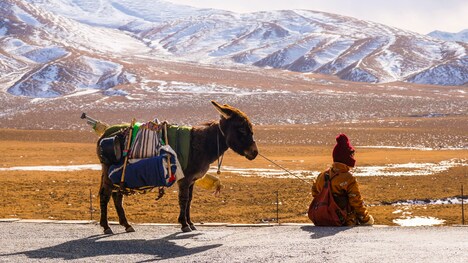 「アラ・チャンソ（原題）」 (c)GARUDA FILM