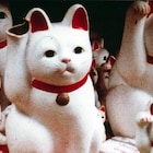 クリス・マルケル特集が全国で順次開催、「サン・ソレイユ」含む8本上映