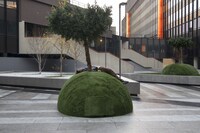 「幸福なラザロ」