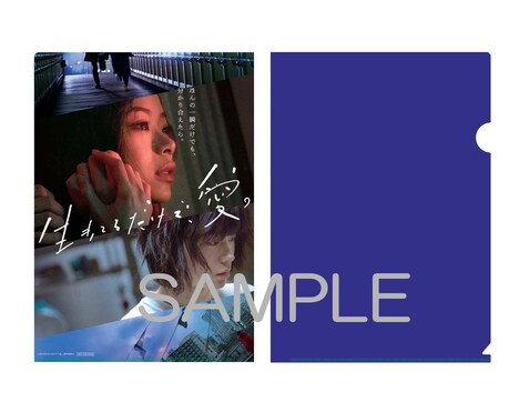 先着予約購入者特典のオリジナルA4クリアファイル。