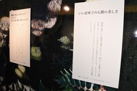 「KILIN・言葉の道」より。