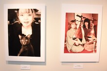 向田邦子から譲られた猫と樹木希林（左）と、琵琶を弾く内田裕也と樹木希林（右）。