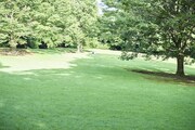 INN THE PARK