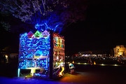 過去の「夜空と交差する森の映画祭」の様子。