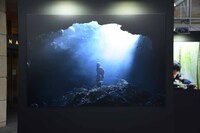 映画「キングダム」写真展の様子。