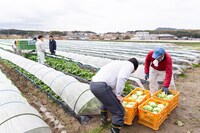 「時代おくれ」メイキング写真
