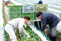 「時代おくれ」メイキング写真