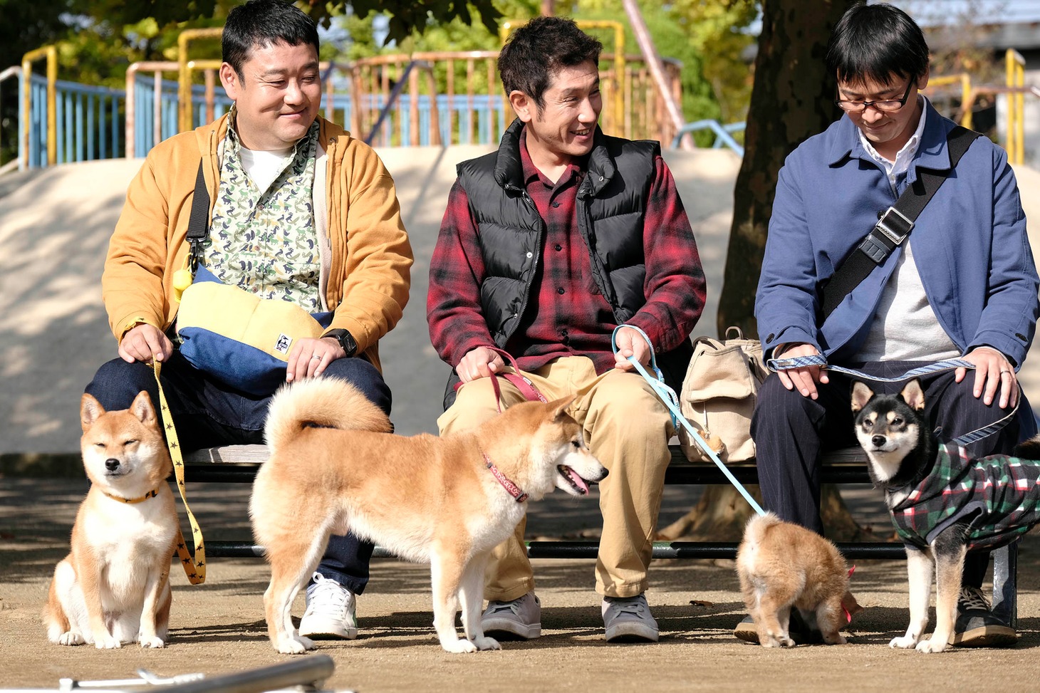 「柴公園」