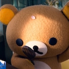 四季折々のリラックマとカオルさん、花見や雪合戦など捉えた新写真11枚到着