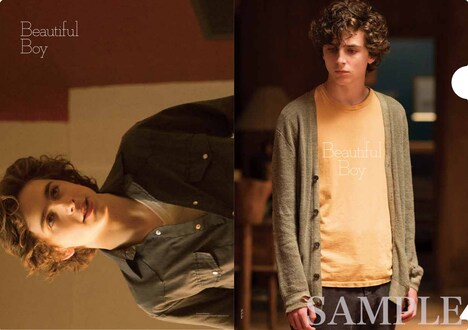「ビューティフル・ボーイ」劇場入場者にプレゼントされる、クリアファイルのビジュアル。