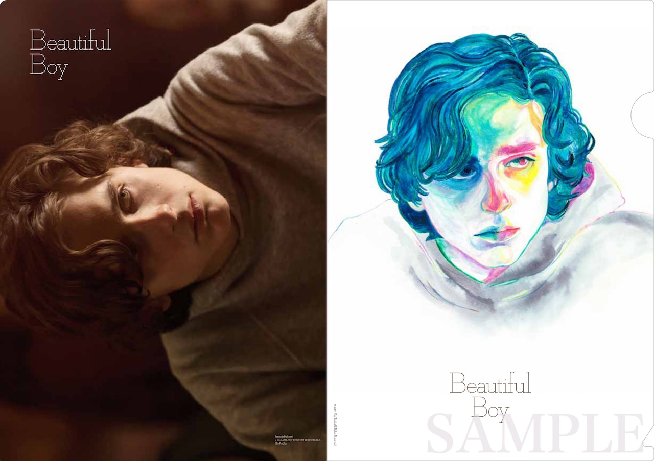 ティモシー・シャラメ出演「ビューティフル・ボーイ」来場者プレゼントが決定