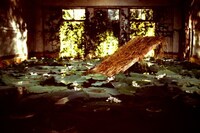 「ロビンソンの庭」