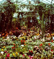 「ロビンソンの庭」