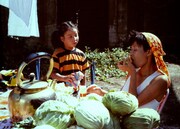 「ロビンソンの庭」