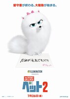 「ペット2」キャラクタービジュアル