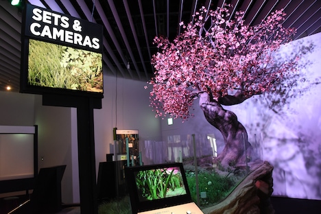 “セット＆カメラ”コーナーの一部。