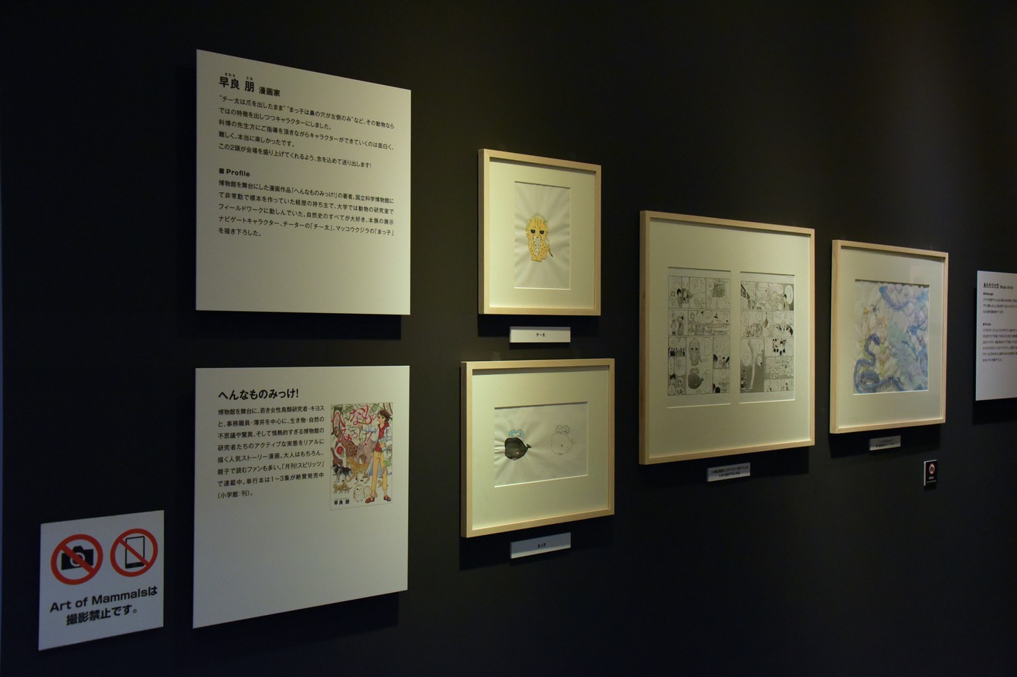 「Art of Mammals」には早良朋「へんなものみっけ！」のコーナーも。