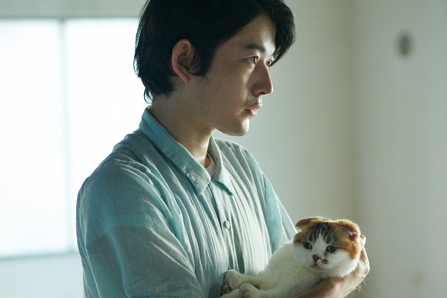 「ブルー・キャット・ブルース」 (c)本田プロモーションBAUS
