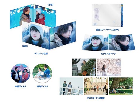 「雪の華」プレミアム・エディションの展開図。