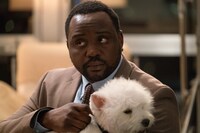 「ロスト・マネー 偽りの報酬」