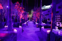 「ラ・ヨローナ～泣く女～」ロサンゼルスプレミアの様子。